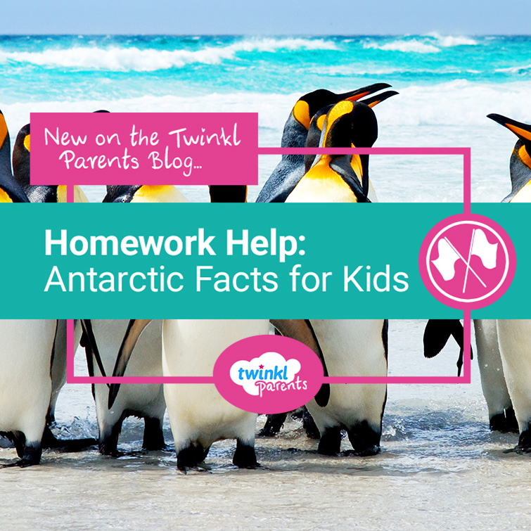 Homework Help: Antarctic Facts for Kids - Twinkl